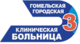 gosudarstvennoe_uchrezhdenie_zdravoohraneniya_gomelskaya_gorodskaya_klinicheskaya_bolnica_n_3.png